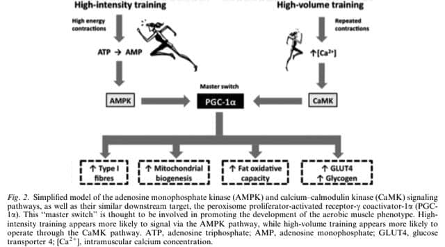 Intensity-vs-Volume-JPEG-1 Intensity-vs-Volume-JPEG-1