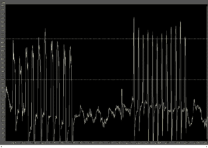 Figure 3: Snapshot of Whitney's Grumpy Workout