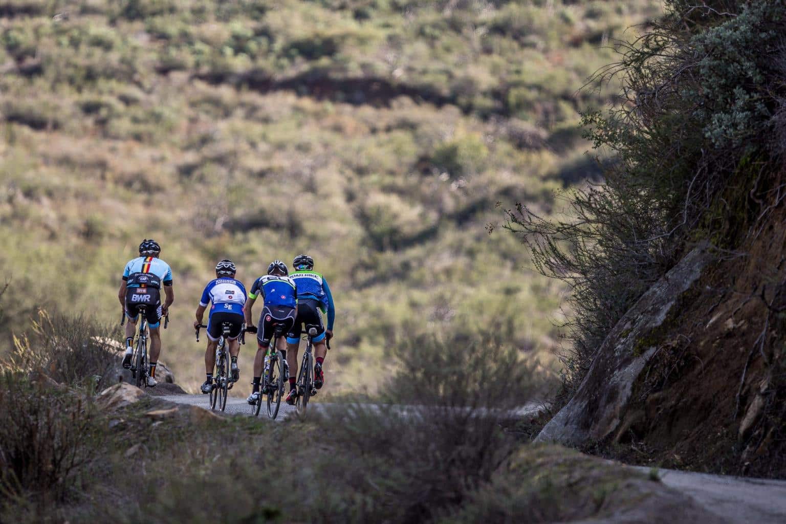 Belgian Waffle Ride Survival Guide by Neil Shirley Source Endurance