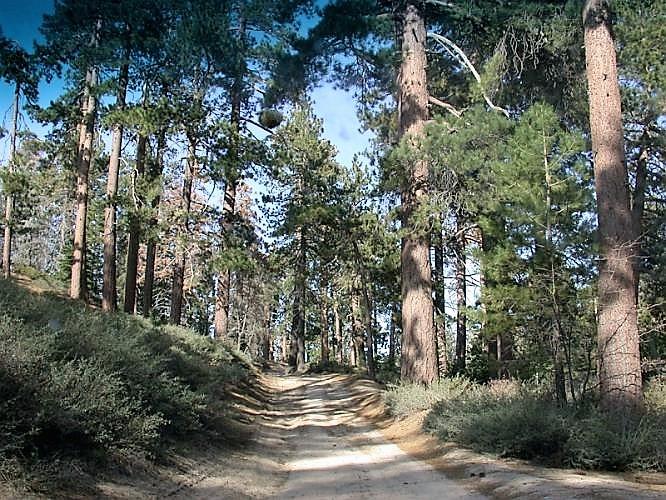 Tips For SPNDX Stampede Big Bear Edition Cycling Event