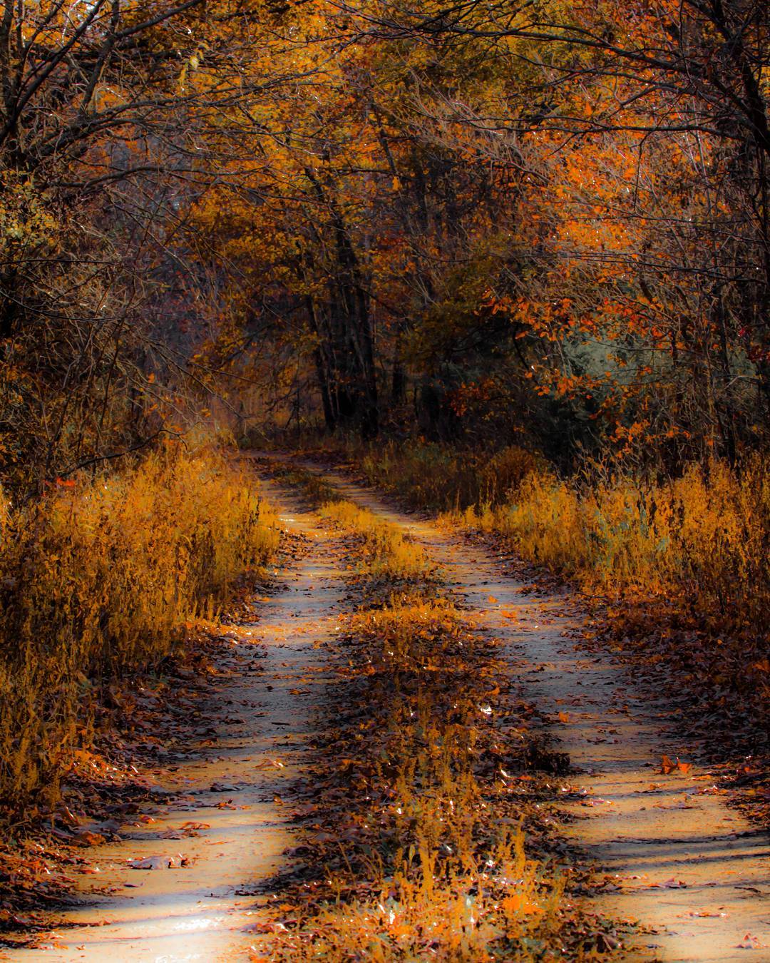 FAll KS road- colors FAll KS road- colors