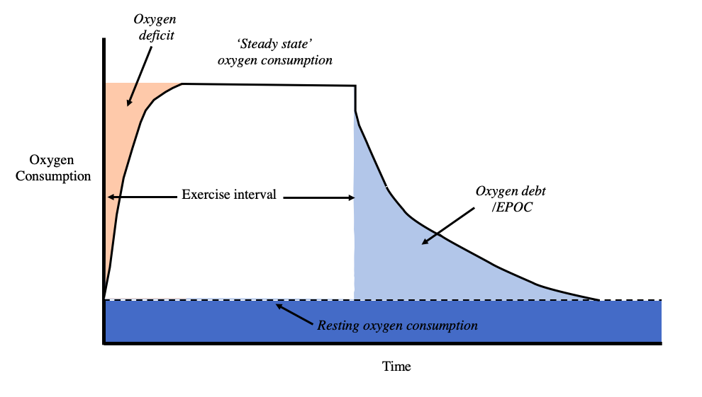 oxygen debt